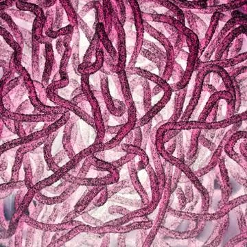 Worms abstract texture Stock Photos