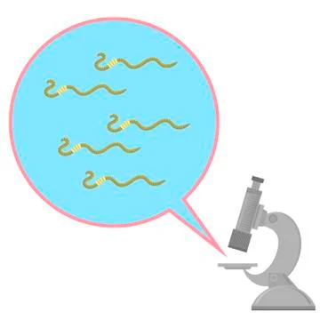 Worms and Microscope Dangerous Bad Parasites. Ascarid, Helminth Pinworm Stock Illustration