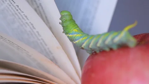 Worms climb on apples and old books. 動画素材 108076887
