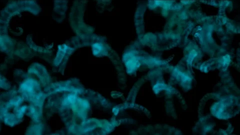 Worms effect fx 動画素材 74711345