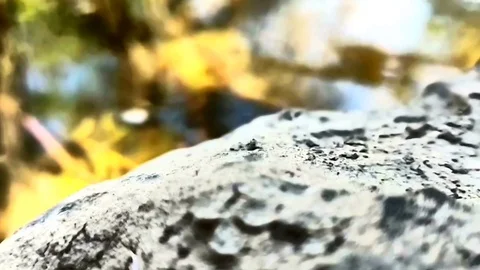 Worms Eye to a dream vacation where rocks, plants and water meet 4K Stock Footage