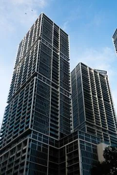 Worm's eye view of Brickell skyscraper with two flying birds in the sky Stock Photos