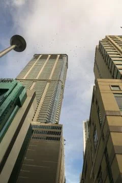 Worm's eye view of Brickell's skyscraper with birds flying across the sky. Stock Photos