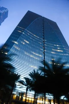 Worm's eye view of glass building in Brickell with a silhouette of palm trees Stock Photos