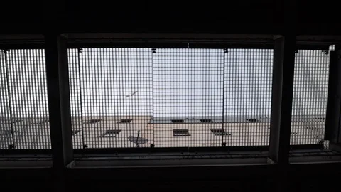 Worms eye view of seagulls flying over building from underneath a metal grate Stock Footage 107225990