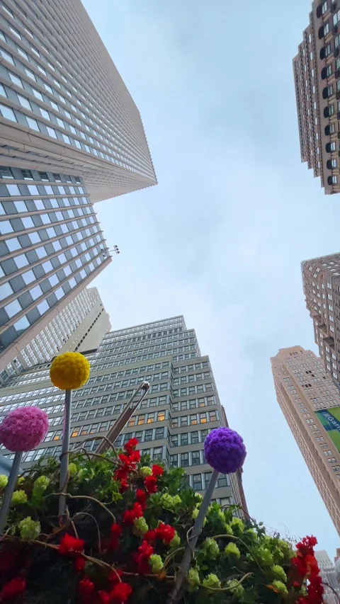 Worm's eye view of skyscrapers and decorative floral elements Stock Footage 330069694