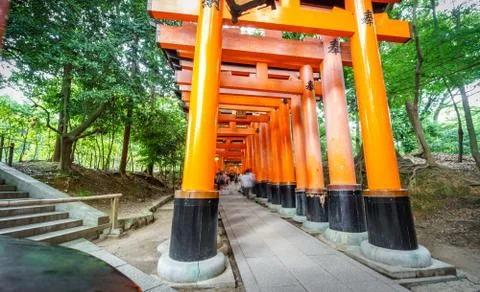 Worms eye view of Torii gates Stock Photos