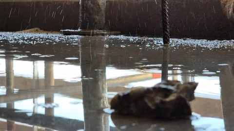 Worms Eye View of Water Drops Dripping into Puddle on Concrete Floor Stock Footage 340829831