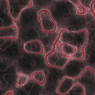 Worms generated texture Stock Illustration