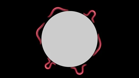 Worms on gray circle, looping 3D animation Stock Footage 112019506