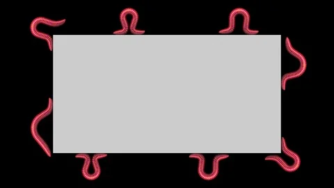 Worms on gray rectangle, looping 3D animation Stock Footage 112019617