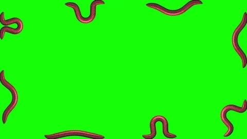 Worms on green, looping 3D animation Stock Footage 112017455
