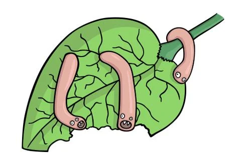 Worms Stock Illustration