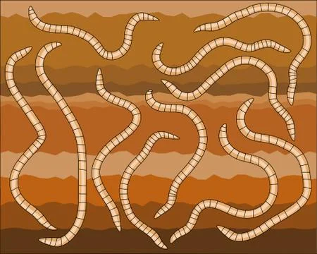 Worms Stock Illustration