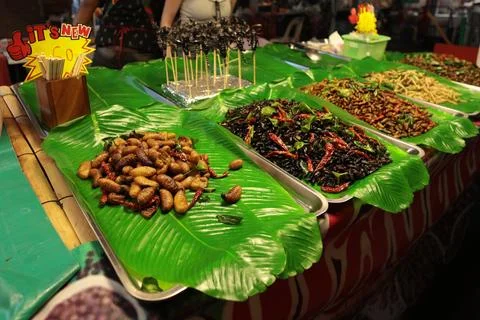 Worms, pupae, insect larvae and scorpions ready to eat on a banana leaf Stock Photos