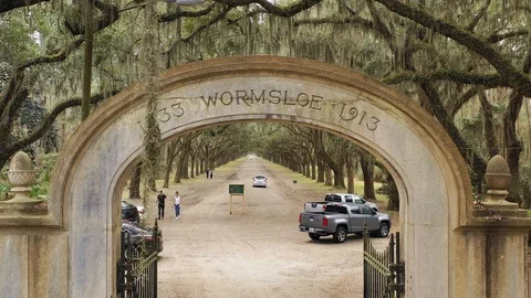Wormsloe Arch Vídeo Stock 103879748