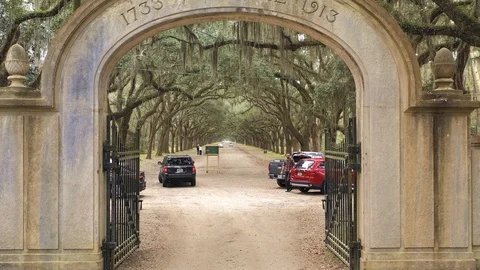 Wormsloe Gate 库存影片 103877769
