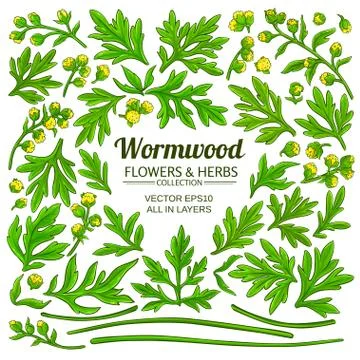 Wormwood elements set Stock Illustration