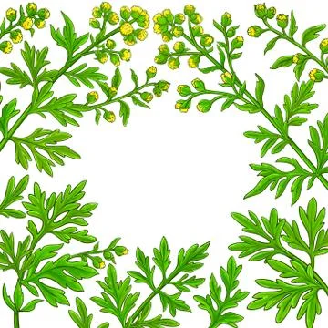 Wormwood vector frame Stock Illustration