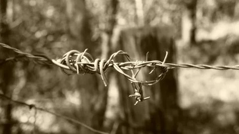 Worn and Rusty Barbed Wire Fence Close Up Sepia Foto stock
