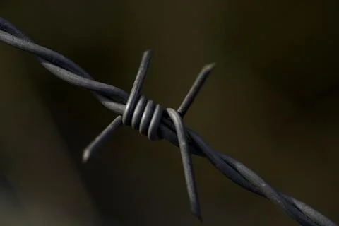 Worn barbed wire indicates defiance and solitude enduring time Stock Photos