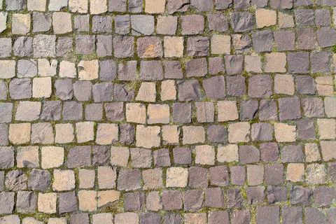Worn cobblestone pavement with moss between stones on street Stock Photos