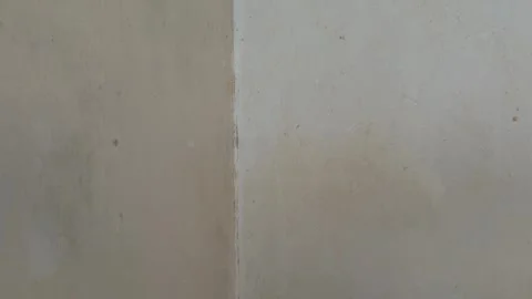 Worn concrete wall with weathered texture, suitable for use as a background.. Stock-Footage 331147535