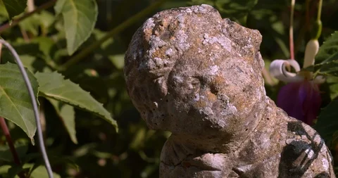 Worn garden statue with vibrant greenery blowing in the wind behind Stock Footage 113144584