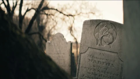 Worn Gravestone in Old Colonial Cemetary Against Dead Trees Stock Footage