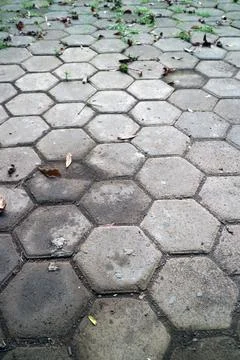 Worn Hexagonal Pavement with Grass and Leaves Stock Photos