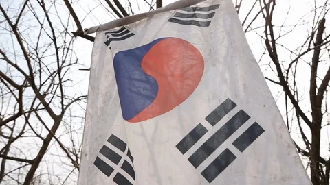 Worn Korean Flag Blowing in Wind Lens Flare 스톡 동영상 101273314