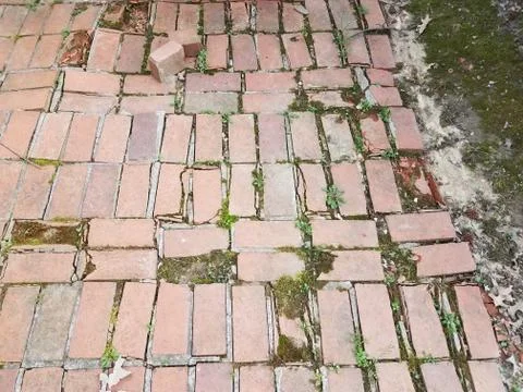Worn or weathered red bricks with moss growing Stock Photos