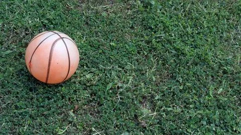 A worn, orange basketball rests on a patch of short, green grass, clover. H.. Stock Photos