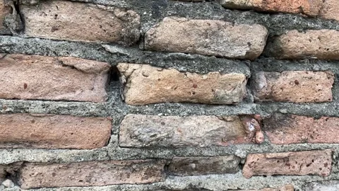 Worn orange bricks with rough mortar lines Stock Footage 313475920