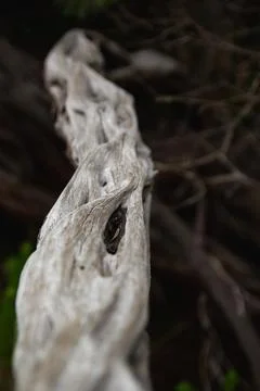Worn out by long life Stock Photos
