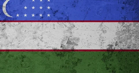 A worn out rusty wall with the uzbekistan flag Video stock 337432707