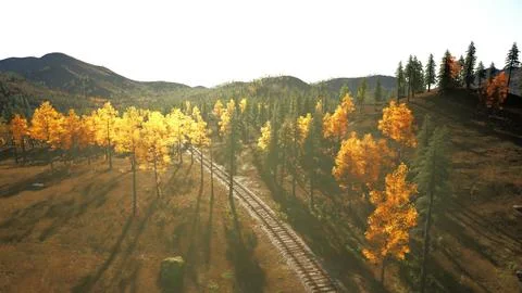 Worn-out train tracks vanishing into the shadows of a dense pine forest Stock Illustration