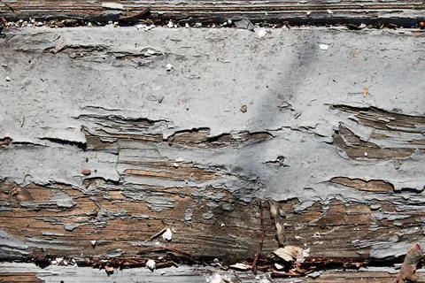 Worn painted deck boards with peeling paint Stock Photos