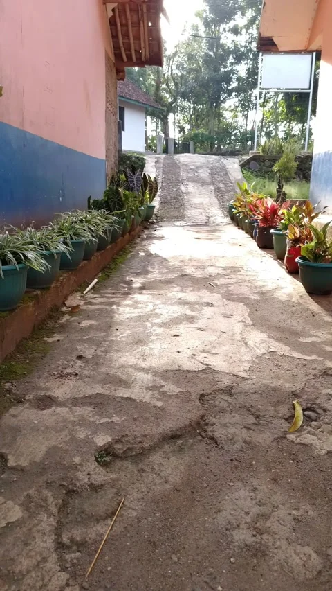 Worn path leads uphill past colorful potted plants Stock Footage 332583360