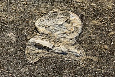 Worn plastic trash bag rests among dusty soil and pebbles Stock Photos