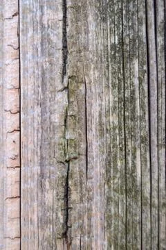 Worn split fence post close up Stock Photos