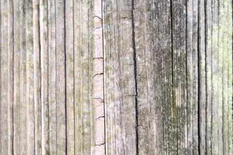 Worn split fence post close up Stock Photos