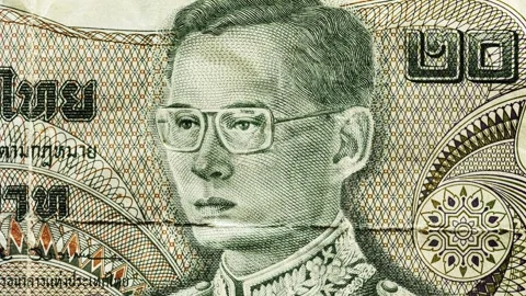 Worn Thai Baht Banknote Portrait with Thai Script Stock Footage 316878344