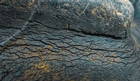 Worn-tractor-tire-closeup Stock Photos