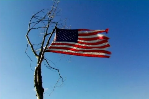 Worn US Flag on a Tree Stock Footage 376637