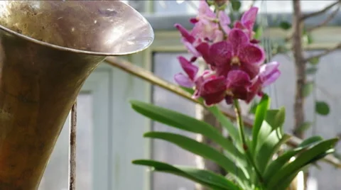 Worn wind instrument. Stock Footage 47927401