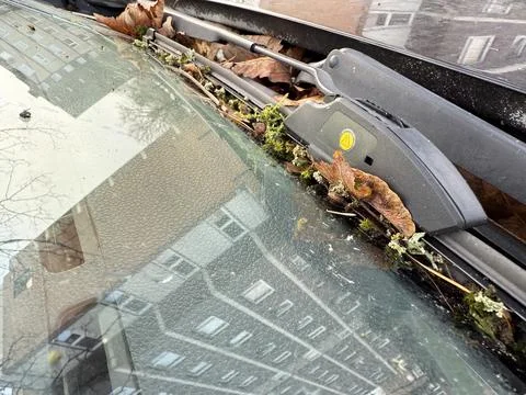 Worn windshield wiper with yellow warning symbol surrounded by autumn leave.. Stock Photos