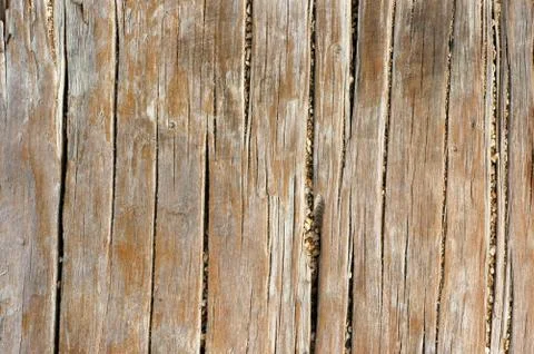 Worn wood Fotos Stock