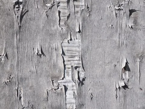 Worn wooden surface Stock Photos