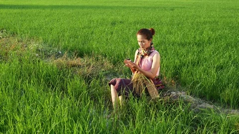 Worried farmer and using a smart phone in a rice field Video stock 85046753